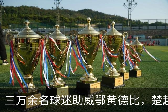 三万余名球迷助威鄂黄德比，楚超赛场黄石美尔雅队2:1力克鄂州临空队