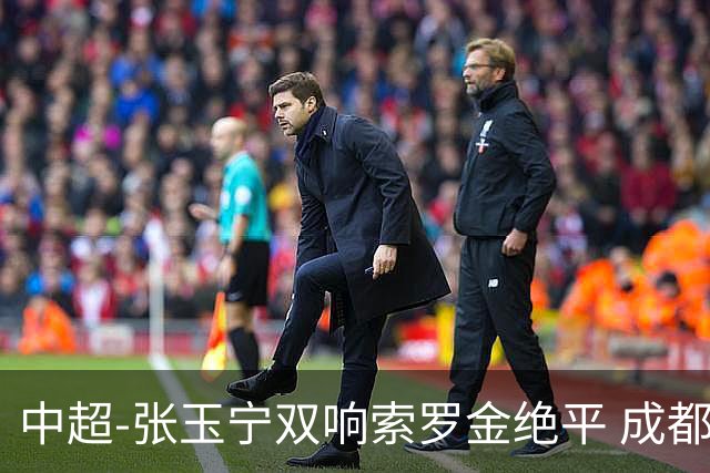 中超-张玉宁双响索罗金绝平 成都连扳两球2-2国安4连平