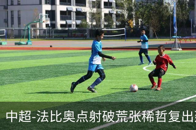 中超-法比奥点射破荒张稀哲复出建功 国安2-1浙江队6轮不败